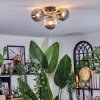 Chehalis Deckenleuchte Glas 12 cm Gold, Schwarz, 3-flammig