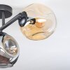 Ripoll Deckenleuchte Glas 15 cm Bernsteinfarben, Rauchfarben, 3-flammig