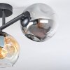Ripoll Deckenleuchte Glas 15 cm Bernsteinfarben, Klar, Rauchfarben, 3-flammig