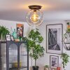 Ripoll Deckenleuchte Glas 30 cm Klar, 1-flammig