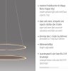 Paul Neuhaus CONTURA Pendelleuchte LED Sandfarben, 2-flammig