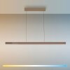 Paul Neuhaus Adriana Square Pendelleuchte LED Bronze, 6-flammig