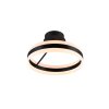 Trio Dios Deckenleuchte LED Schwarz, 1-flammig