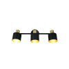 Trio Eva Deckenspot Schwarz-Gold, 3-flammig