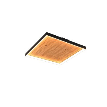 Trio Kalea Deckenleuchte LED Holz hell, 1-flammig