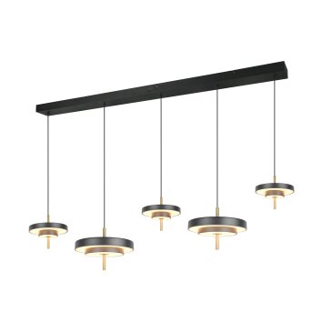 Trio KEATON Pendelleuchte LED Schwarz-Gold, 1-flammig