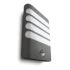 Philips myGarden Raccoon Wandleuchte LED Anthrazit, 1-flammig, Bewegungsmelder