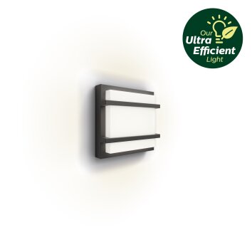 Philips Petronia Außenwandleuchte LED Anthrazit, 1-flammig