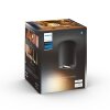 Philips Hue White Ambience Pillar Deckenleuchte Schwarz, 1-flammig