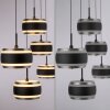 Paul Neuhaus PURE Falling Rings Pendelleuchte LED Schwarz, Transparent, Klar, 5-flammig, Fernbedienung