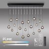 Paul Neuhaus PURE Popup Pendelleuchte LED Grau, 19-flammig, Fernbedienung