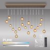 Paul Neuhaus PURE Popup Pendelleuchte LED Bronze, 19-flammig, Fernbedienung