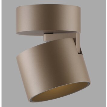 Paul Neuhaus PURE Cup Deckenleuchte LED Bronze, 1-flammig