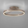 Paul Neuhaus PURE Loop Deckenleuchte LED Bronze, 2-flammig, Fernbedienung