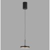 JUST LIGHT PLATA Pendelleuchte LED Schwarz, 1-flammig
