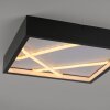 JUST LIGHT MIKADO Deckenleuchte LED Schwarz, 1-flammig