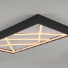 JUST LIGHT MIKADO Deckenleuchte LED Schwarz, 1-flammig