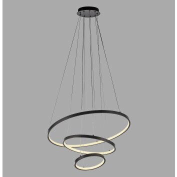 JUST LIGHT CERCHI Pendelleuchte LED Schwarz, 1-flammig