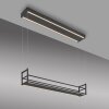 JUST LIGHT SONTURA Pendelleuchte LED Schwarz, 2-flammig