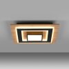 JUST LIGHT TOLA Deckenleuchte LED Braun, Schwarz, 2-flammig