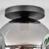 Ripoll Deckenleuchte Glas 30 cm Rauchfarben, 1-flammig