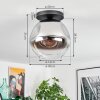 Ripoll Deckenleuchte Glas 30 cm Chrom, Klar, Rauchfarben, 1-flammig
