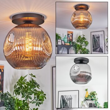 Ripoll Deckenleuchte Glas 30 cm Rauchfarben, 1-flammig