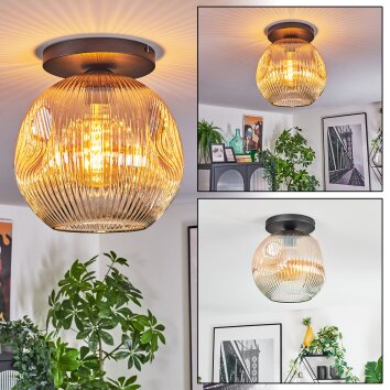 Ripoll Deckenleuchte Glas 30 cm Bernsteinfarben, Klar, 1-flammig