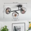 Koyoto Deckenleuchte Glas 15 cm Klar, Rauchfarben, 3-flammig
