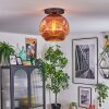 Ripoll Deckenleuchte Glas 30 cm Kupferfarben, 1-flammig