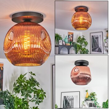 Ripoll Deckenleuchte Glas 30 cm Kupferfarben, 1-flammig