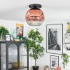 Ripoll Deckenleuchte Glas 30 cm Klar, Kupferfarben, 1-flammig