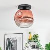 Ripoll Deckenleuchte Glas 30 cm Klar, Kupferfarben, 1-flammig