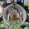 Koyoto Hängeleuchte Glas 25 cm Bernsteinfarben, Klar, Rauchfarben, 4-flammig