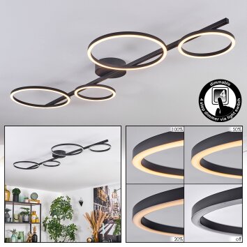 Firon Deckenleuchte LED Schwarz, 1-flammig