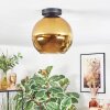 Koyoto Deckenleuchte Glas 25 cm Gold, 1-flammig