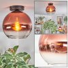 Koyoto Deckenleuchte Glas 25 cm Klar, Kupferfarben, 1-flammig