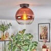 Koyoto Deckenleuchte Glas 25 cm Klar, Kupferfarben, 1-flammig