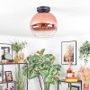 Koyoto Deckenleuchte Glas 25 cm Klar, Kupferfarben, 1-flammig