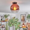 Koyoto Deckenleuchte Glas 25 cm Klar, Kupferfarben, 1-flammig