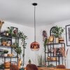 Koyoto Hängeleuchte Glas 25 cm Klar, Kupferfarben, 1-flammig