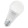 LED E27 9,5 Watt 2700/6500 Kelvin 1055 Lumen
