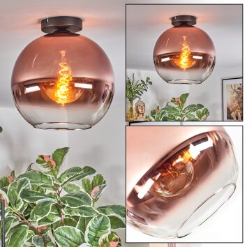 Koyoto Deckenleuchte Glas 30 cm Klar, Kupferfarben, 1-flammig