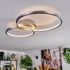 Fenar Deckenleuchte LED Aluminium, Chrom, 1-flammig