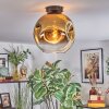 Ripoll Deckenleuchte Glas 30 cm Gold, Klar, 1-flammig