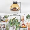 Ripoll Deckenleuchte Glas 30 cm Gold, Klar, 1-flammig