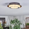 Lidor Deckenleuchte LED Grau, Schwarz, 1-flammig