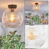 Ripoll Deckenleuchte Glas 30 cm Klar, 1-flammig