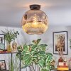 Ripoll Deckenleuchte Glas 30 cm Chrom, Klar, Rauchfarben, 1-flammig