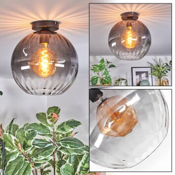 Koyoto Deckenleuchte Glas 30 cm Klar, Rauchfarben, 1-flammig
